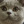 thatsboris:teomodo:thatsboris:boris has brought you a pool noodleALTfearsomeALTboris