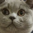 thatsboris:teomodo:thatsboris:boris has brought you a pool noodleALTfearsomeALTboris