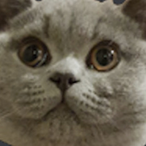 thatsboris:teomodo:thatsboris:boris has brought you a pool noodleALTfearsomeALTboris