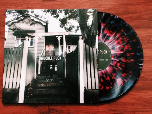 jessica-valdez: Knuckle Puck- While I Stay Secluded First pressing-250