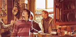 mbthecool:“What Harry found most unusual about life at Ron’s, however, wasn’t the talking mirr