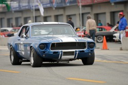 JUST THE COOLEST MUSTANGS