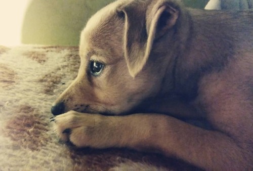 Good night~~