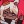 hamstermelons:  I love my girl Bean so much aaWhat did I even do to Elfo oml