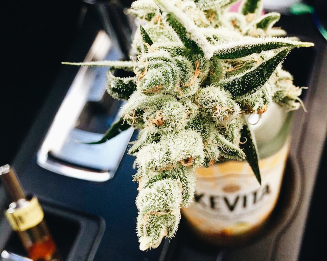 roll-it-smoke-it:4 2 0