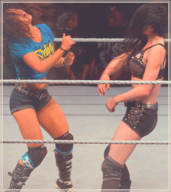 I would pay to see this match at a PPV! Paige is awesome and so is AJ, dream match