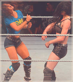 I would pay to see this match at a PPV! Paige is awesome and so is AJ, dream match up right here!