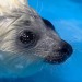 clonepa:clonepa: