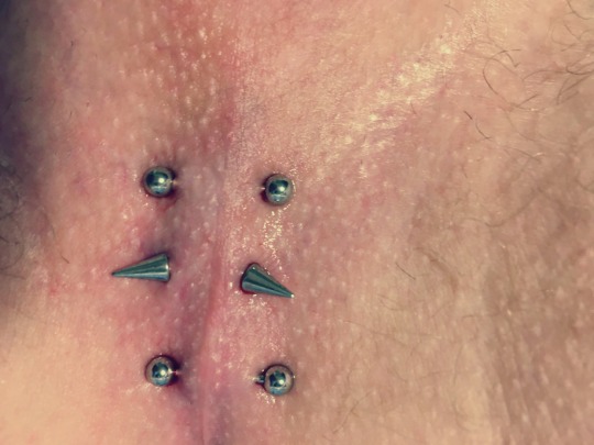 Taint Piercing | Explore Tumblr Posts and Blogs 