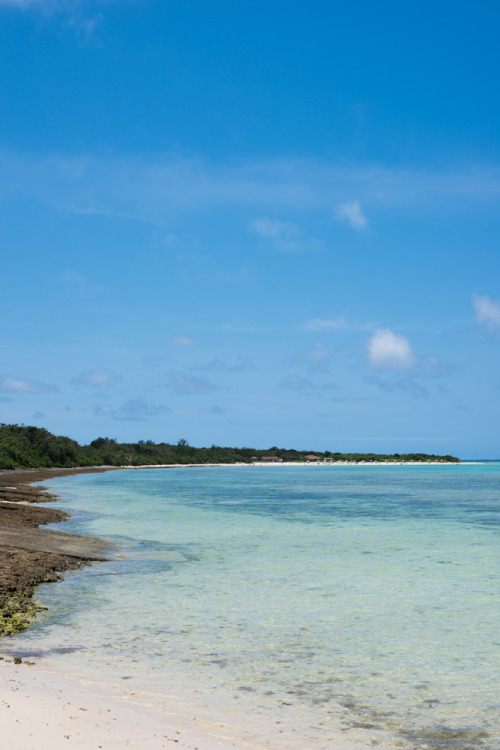 The beautiful beaches of perfect, perfect Taketomi Island.