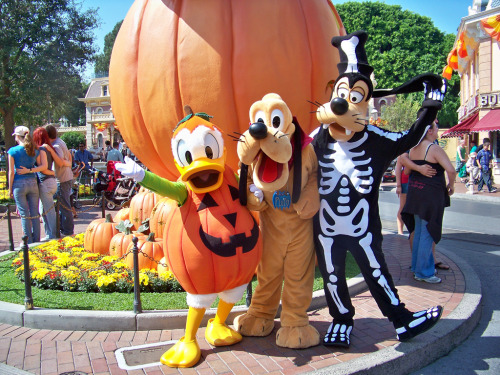 go-away-to-disneyland: Donald, Pluto and Goofy in their Halloween Costumes! (por Castles, Capes &