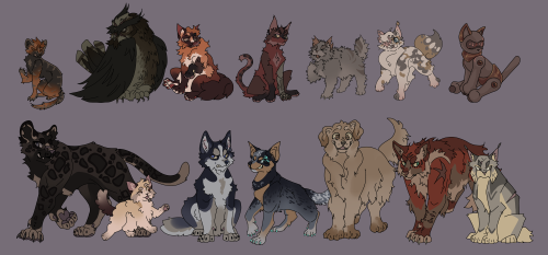 CATS VS DOGS!!!!!!