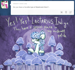 askmedusapony:  ask-thaumaturge-pony:  You