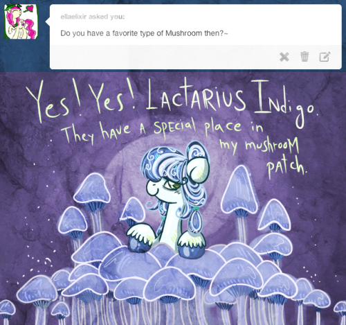 askmedusapony:  ask-thaumaturge-pony:  You should be sent to the moon for a thousand years, murderer..  Medusa: “Arachne! Cease your locusting behavior at once!” Arachne: “RAAAAWWR! SHINY PURPLE MUSHROOMS!!!!”  xD!