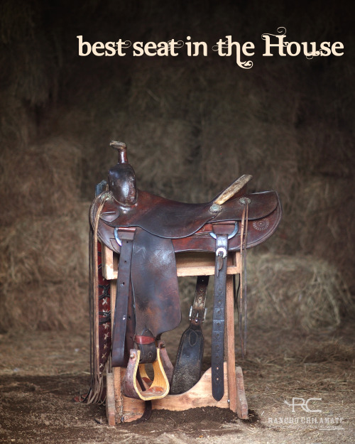 Nothing beats a great saddle.