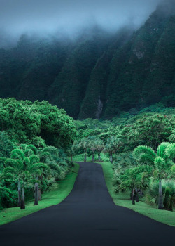 coiour-my-world:Oahu, HI | by mydetoxtravel