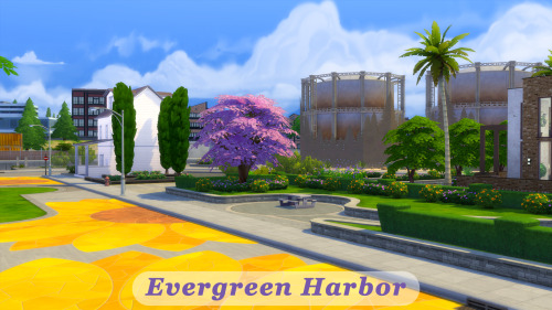 Karli: When we first moved to Evergreen Harbor, I never envisioned this. You&rsquo;ve done a won