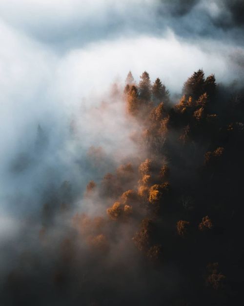 delta-breezes:  Marvin Walter 