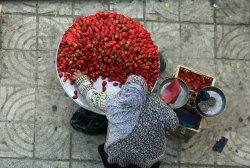 tanyushenka:  Strawberry vendor in Gaza, Palestine, January, 2019  @Aya Isleem  