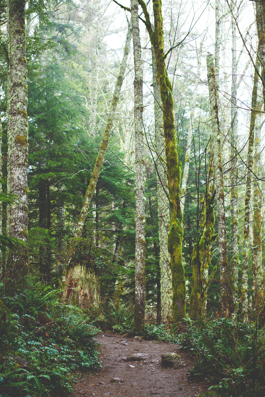 zionawaits:   North Bend, WA Rattlesnake Ledge 