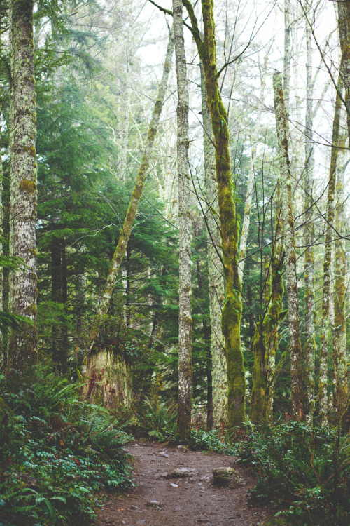 zionawaits: North Bend, WA Rattlesnake Ledge