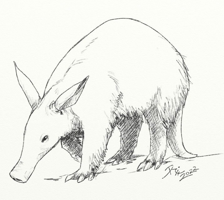 Drawing sketch style illustration of an aardvark or African ant ...