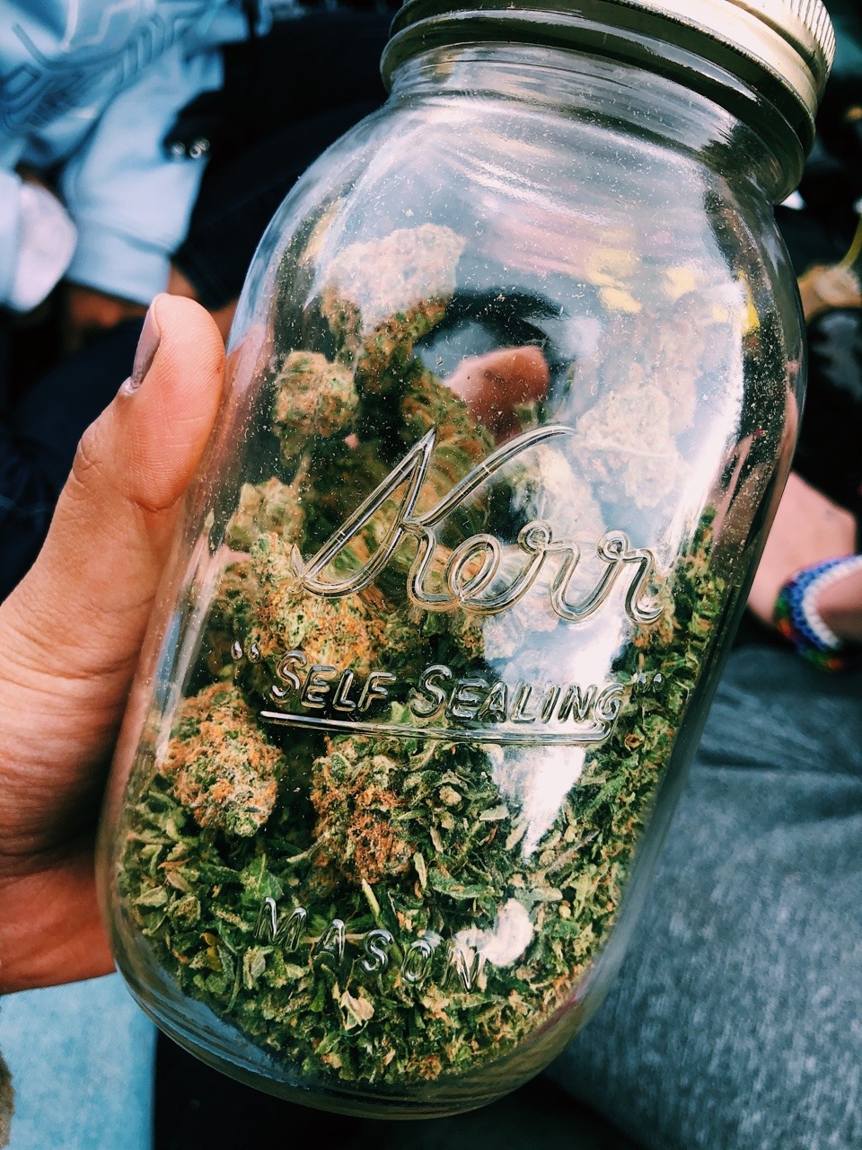 turntstoner:some super lemon skunk my friend brought on our hike yesterday🌞🍋🌀