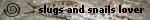 Alternative Text