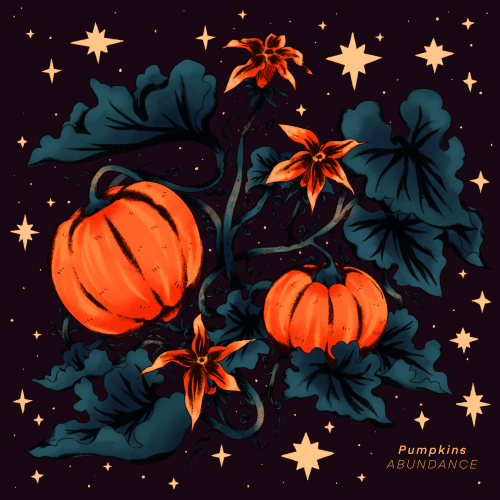 ✹ pumpkins; abundance