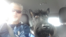 cheesewhizexpress: Me and my mate Scotty on a road trip.  He is a funny guy, likes the beach life and long walks.  Thank you for the wonderful picture of you and your mate Scotty @universe-explorer! 