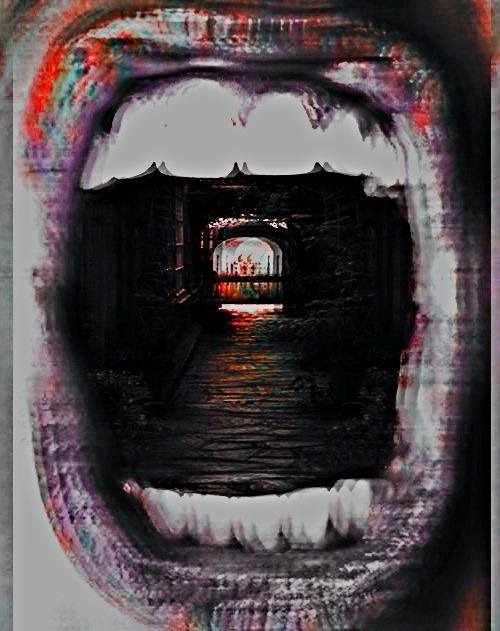 obeytheprophecy:  ▲ obey the prophecy ▲ the door to wonderland