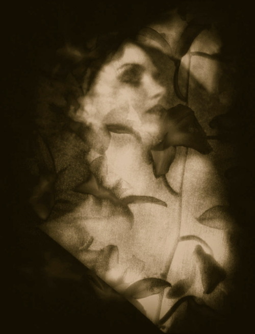  Josephine Sacabo ph. - Woman with Orchids,  photogravure 