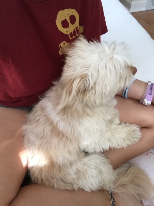 crydaisy:  This my baby Simba! We call him Simbie most of the time though