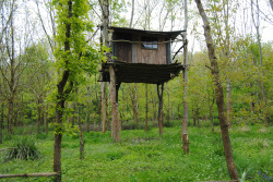 treehauslove:  Gloucestershire Treehouse. A tiny handcrafted tree shelter supported solely by four tree trunks. Located in the woods of Gloucestershire, England.