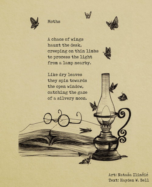 M is for “Moths”Inktober 2016, day 13.Poetry/art collaboration with @haydenwestfieldbell .[Facebook 