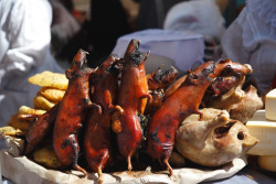 theweekmagazine:  Where guinea pig is a delicacy Welcome to Cusco, Peru 