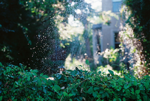 englishsnow:   Johnny Utterback      
