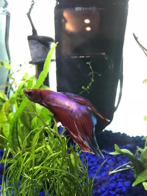 Pretty boy loves his plants! ✨ 08-05-18