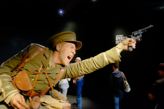 Gallipoli: The scale of our war