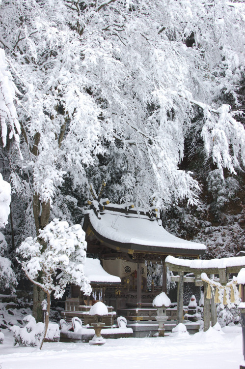 miizukizu:  By : Rie NAKAYA(Do not remove credits) 
