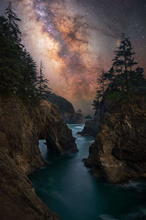 adventuresinfinity:Milky Way shining bright on the Oregon Coast [OC] [2000x2997] | Source: r