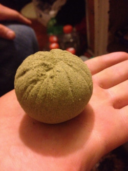 its420somehow:  fearisdead:  Holy kief ball.  it’s like the great pumpkin..but kief…