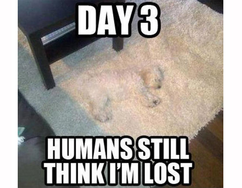 miracle