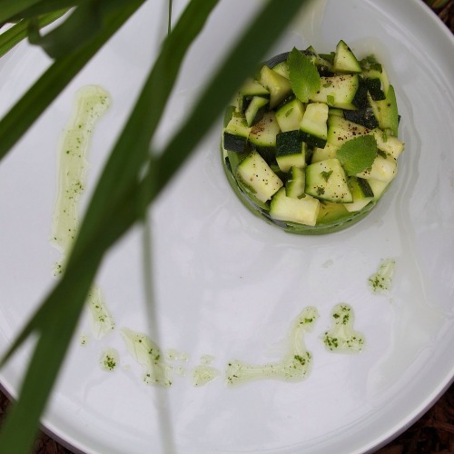 Week 3 at the Plant Lab in Belfast ME. 07/18 - 07/221. Zucchini avocado tartare | mint oil2. Summer 