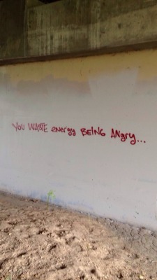 graffquotes:  You waste energy being angry… 