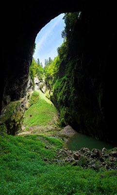 The Macocha Abyss is a sinkhole in the Moravian Karst cave system of the Czech Republic 