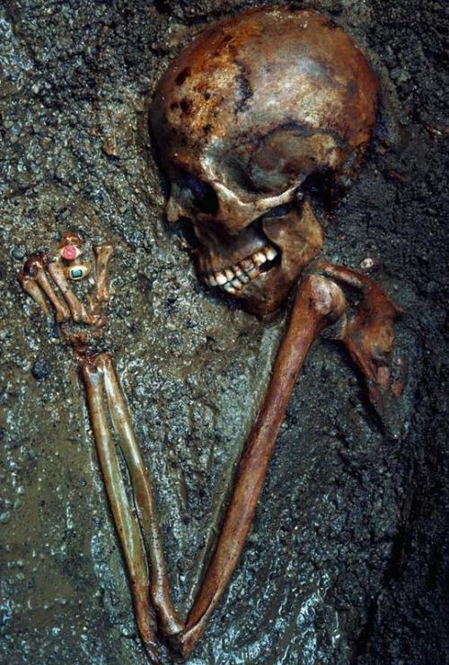 marcwolf:A skeleton called the “Ring Lady” was unearthed in Herculaneum, an ancient town
