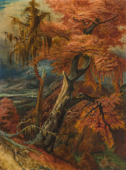 wetreesinart:  Otto Dix ( All. 1891-1969),  Zerschmetterter Baum, 1941, huile sur toile 