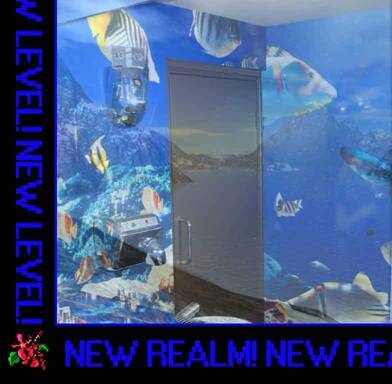 realm, realm, realm ~ levels, levels, levels, ~ nature, nature, natureedit 02ri-45