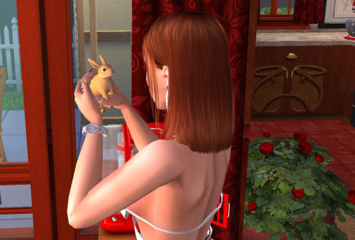 Baby Rabbit Cage For The Sims 2